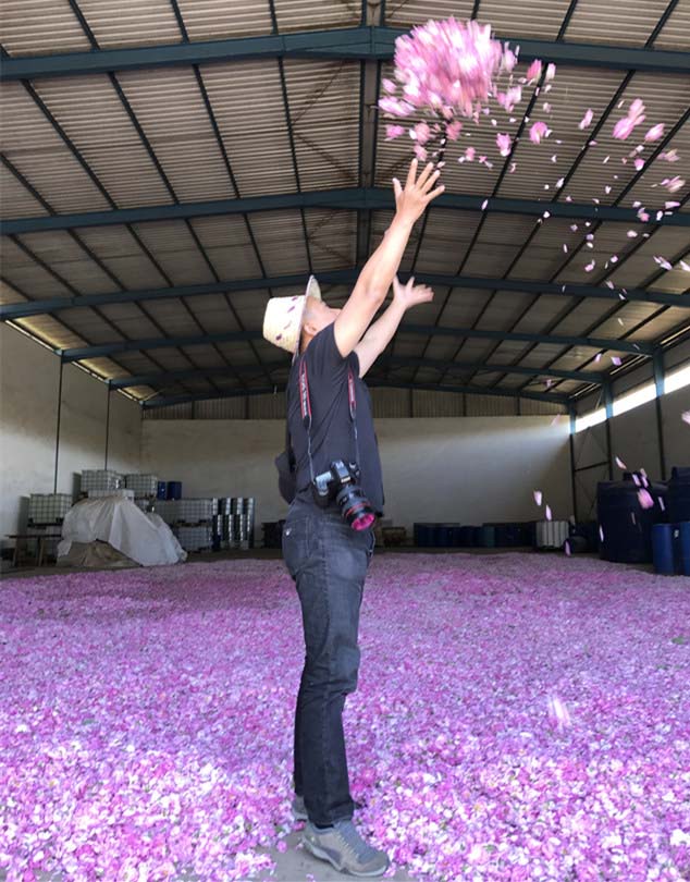 狂抛洒玫瑰花的男神